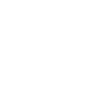 Mount Lebanon Hospital